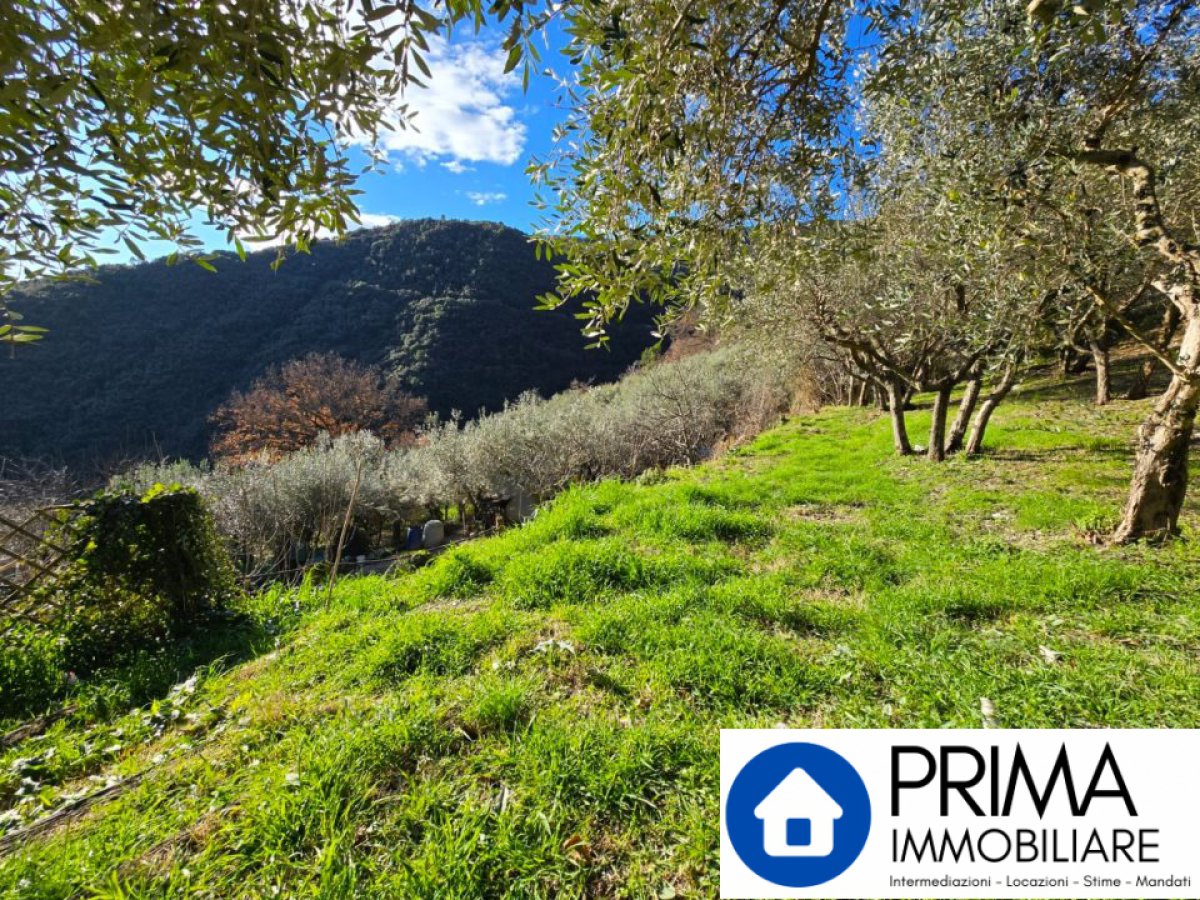 Cottage/Hamlet for Sale Terni Terni, Sale Cottage/Hamlet Terni