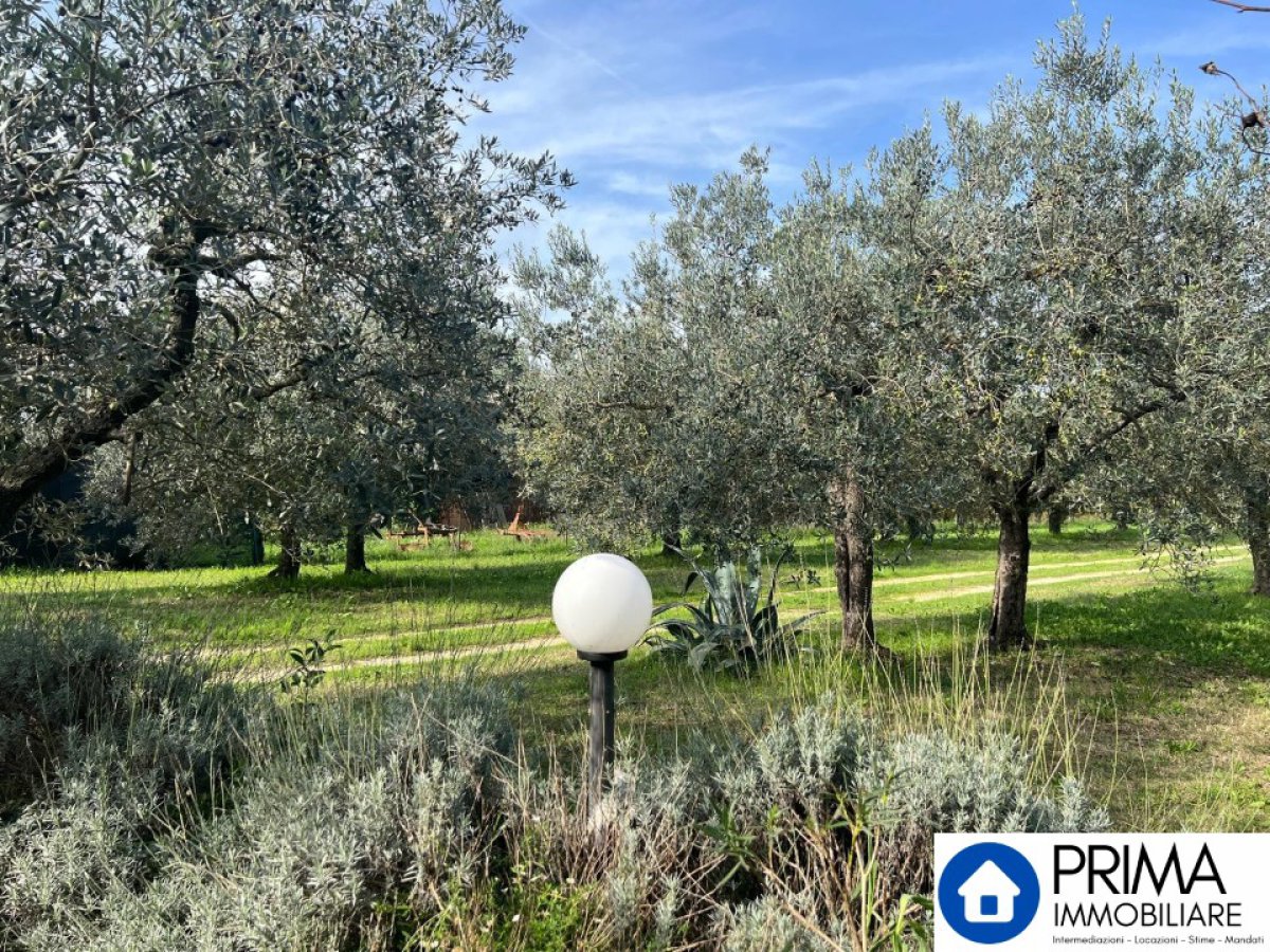 Building area for Sale Terni Terni, Sale Building area Terni