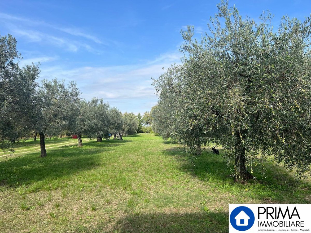 Building area for Sale Terni Terni, Sale Building area Terni