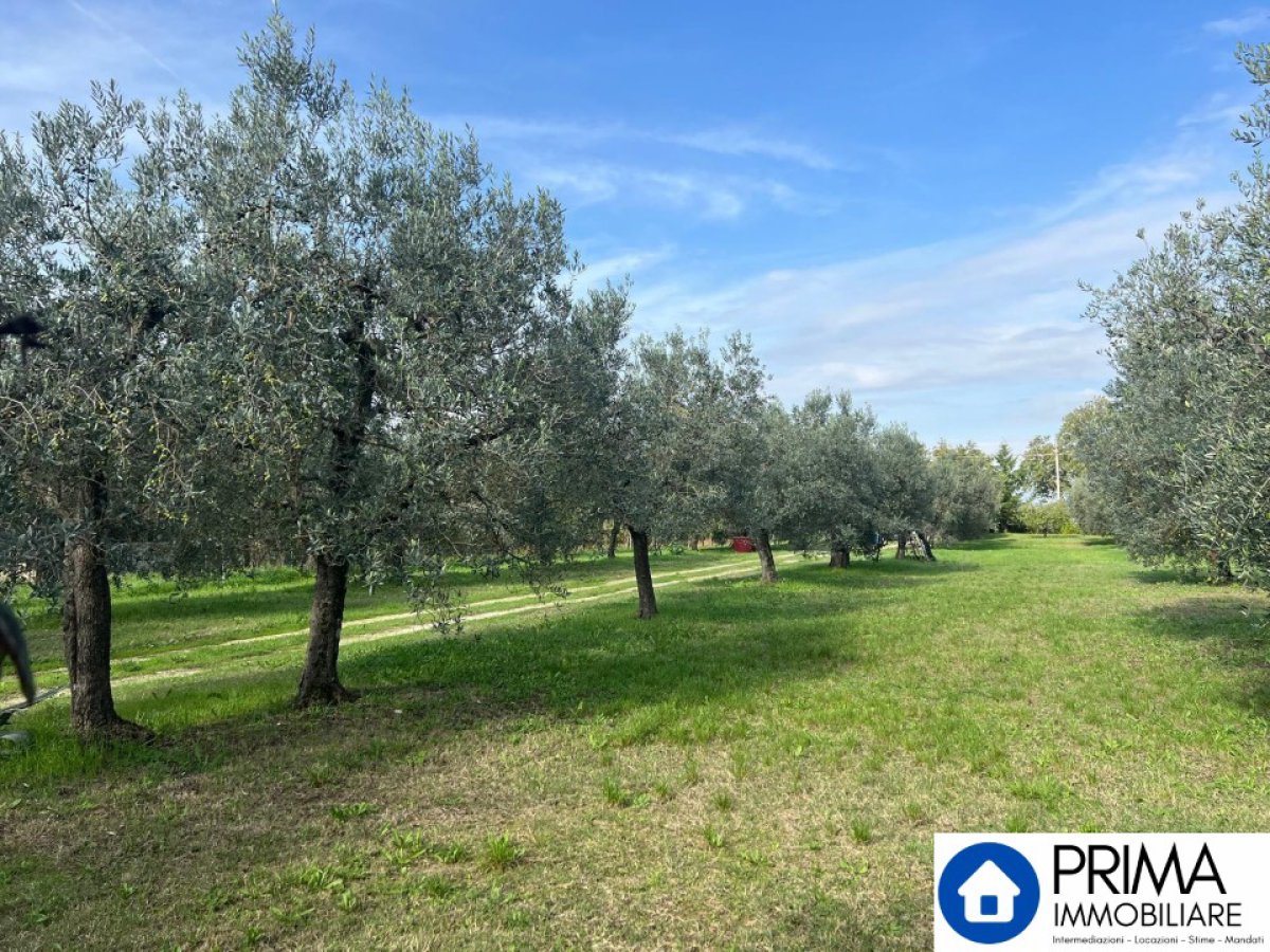 Building area for Sale Terni Terni, Sale Building area Terni
