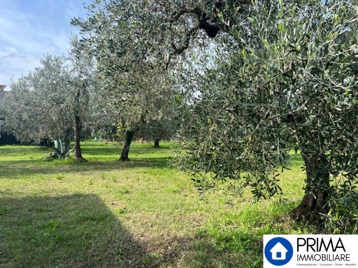 Building area for Sale Terni Terni, Sale Building area Terni