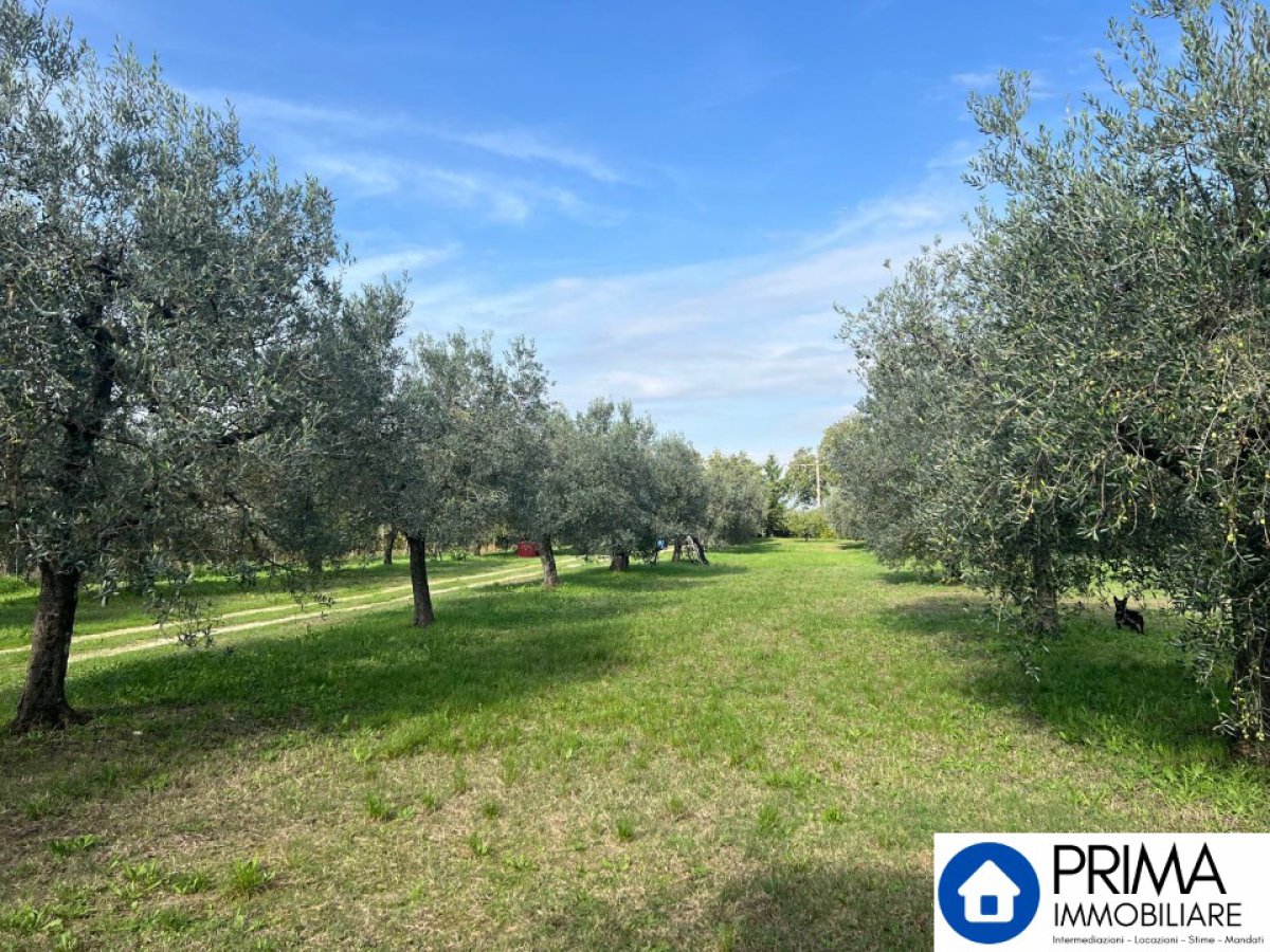 Building area for Sale Terni Terni, Sale Building area Terni