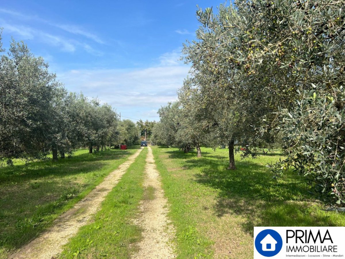 Building area for Sale Terni Terni, Sale Building area Terni