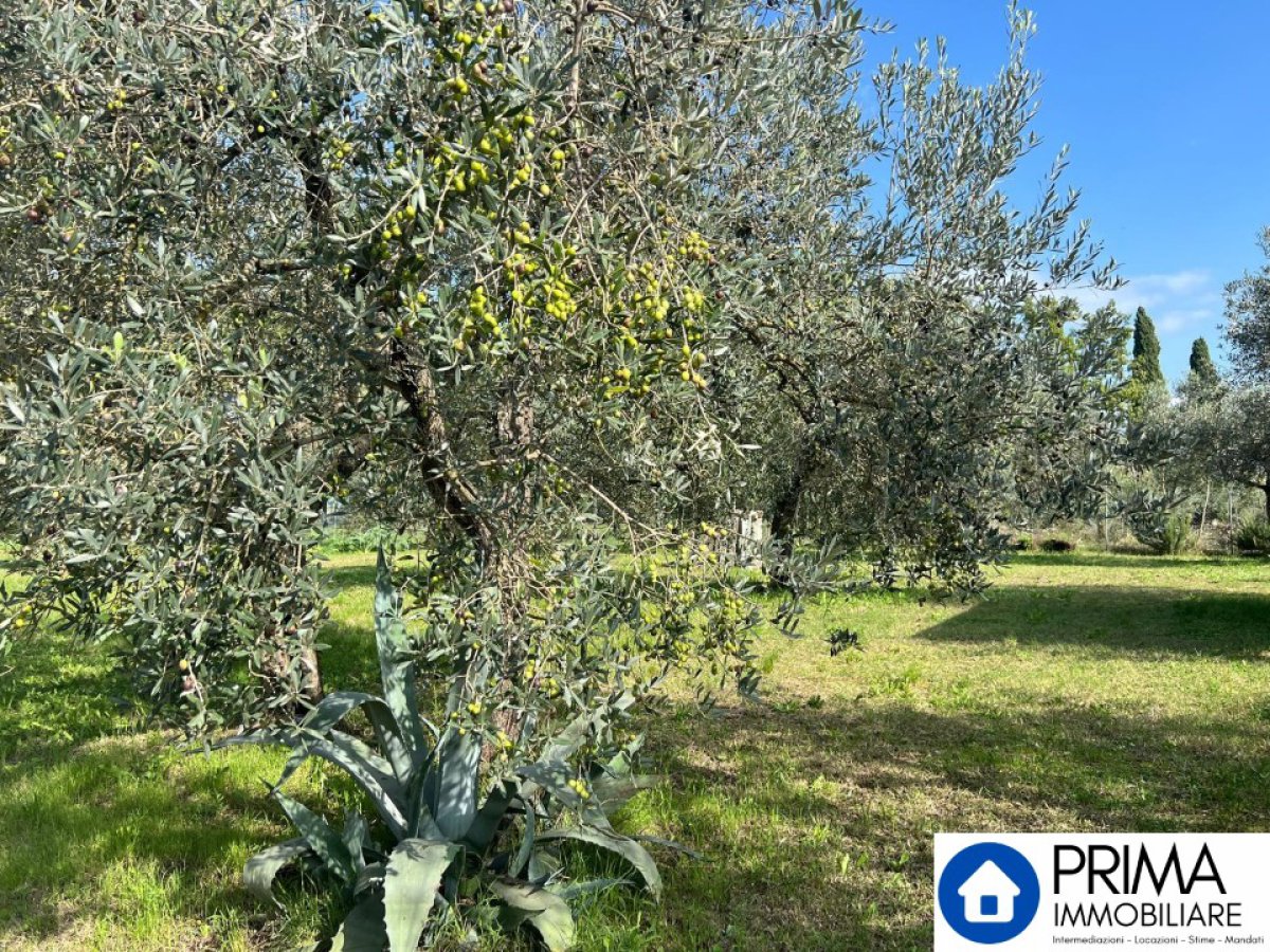 Building area for Sale Terni Terni, Sale Building area Terni