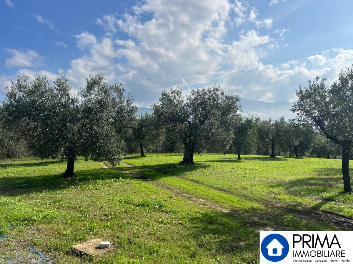 Building area for Sale Terni Terni, Sale Building area Terni