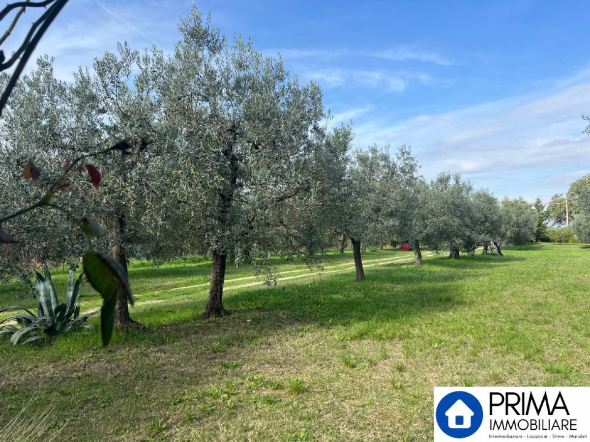 Building area for Sale Terni Terni, Sale Building area Terni