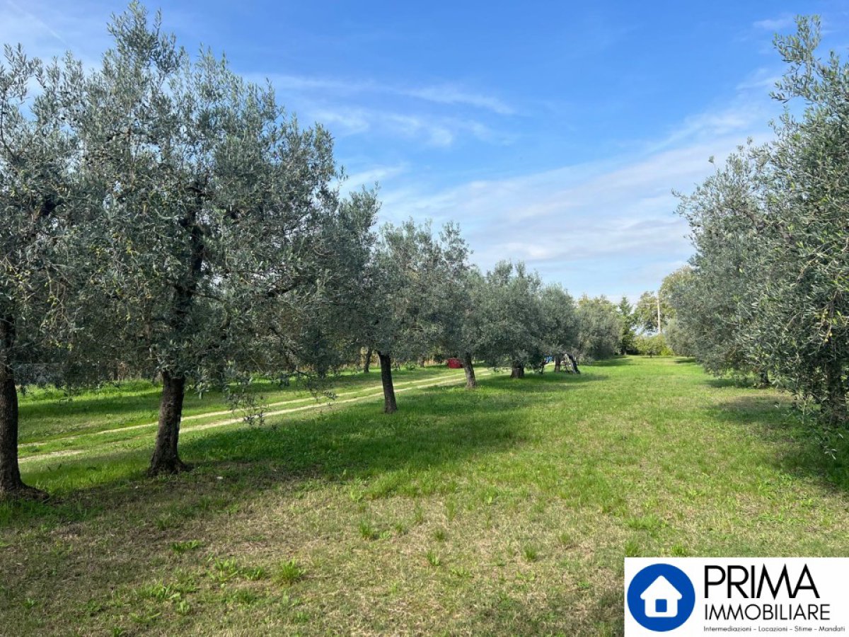Building area for Sale Terni Terni, Sale Building area Terni