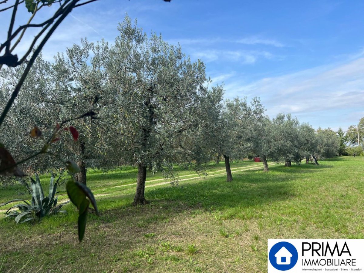 Building area for Sale Terni Terni, Sale Building area Terni