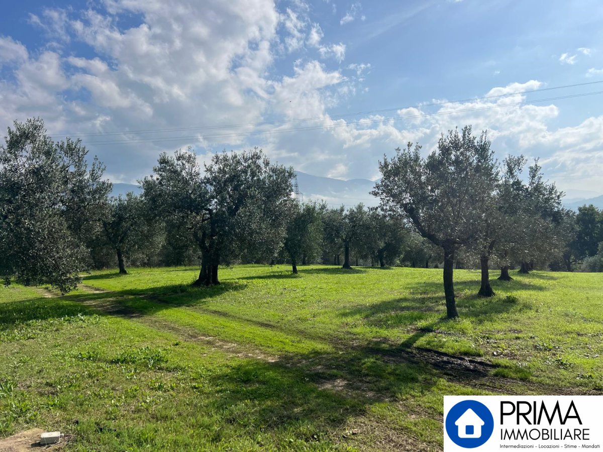 Building area for Sale Terni Terni, Sale Building area Terni