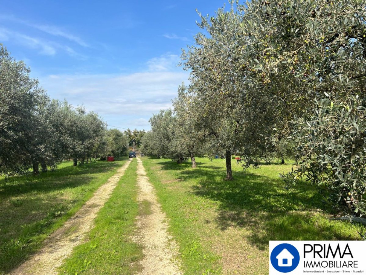 Building area for Sale Terni Terni, Sale Building area Terni