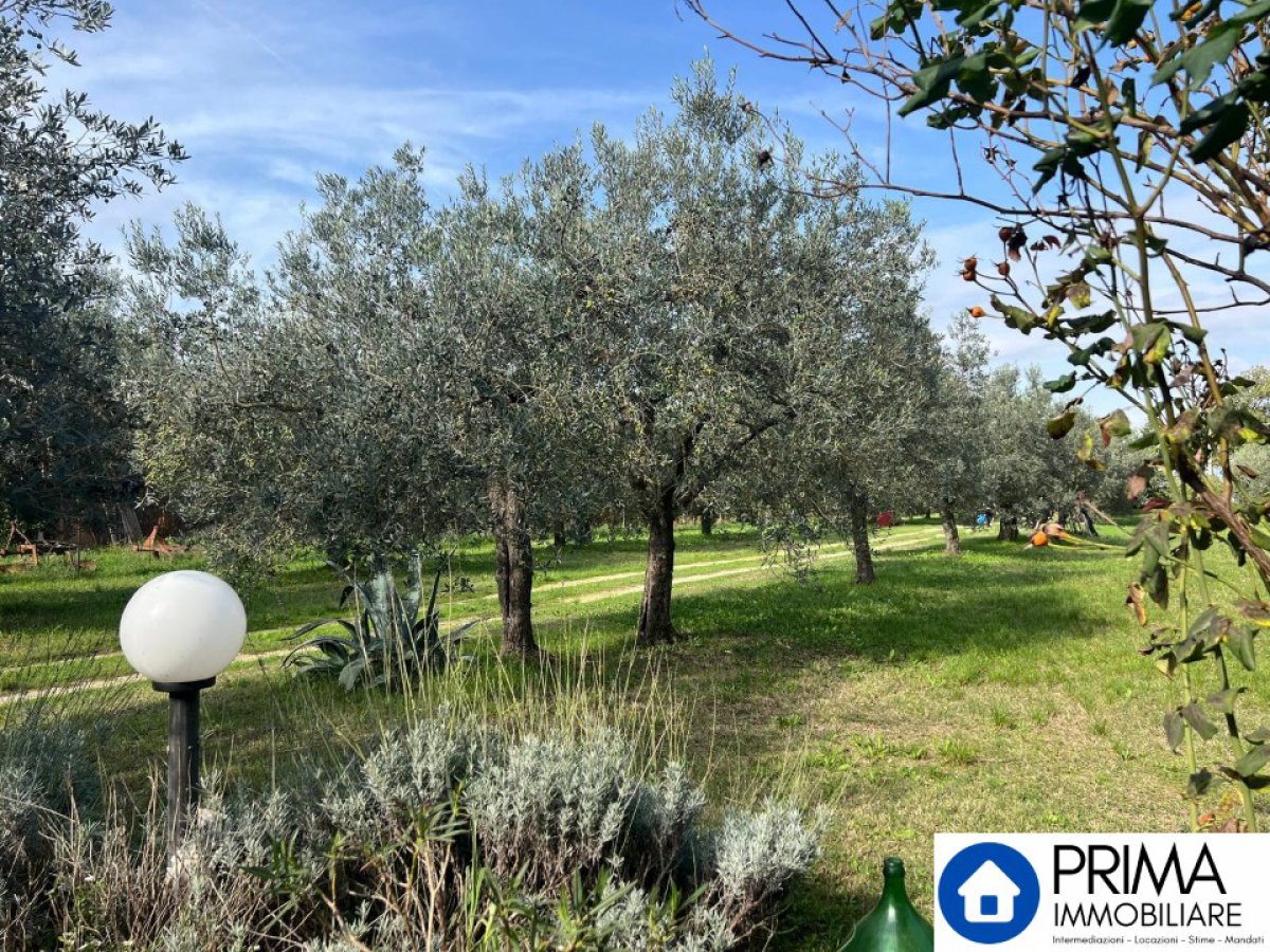 Building area for Sale Terni Terni, Sale Building area Terni