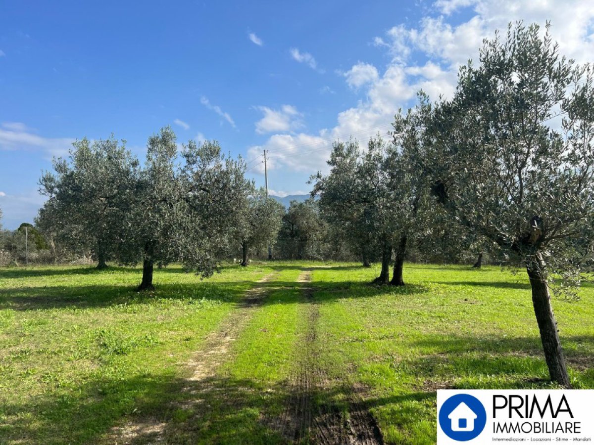 Building area for Sale Terni Terni, Sale Building area Terni