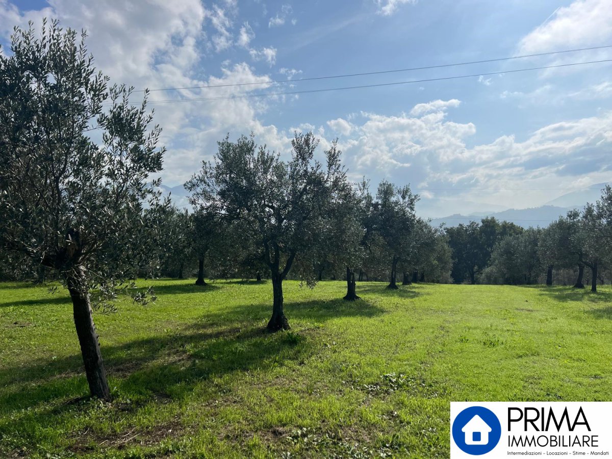 Building area for Sale Terni Terni, Sale Building area Terni