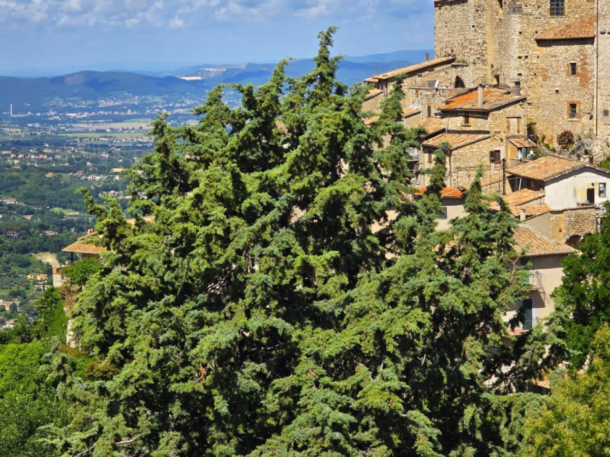 Villa for Sale Terni Terni, Sale Villa Miranda