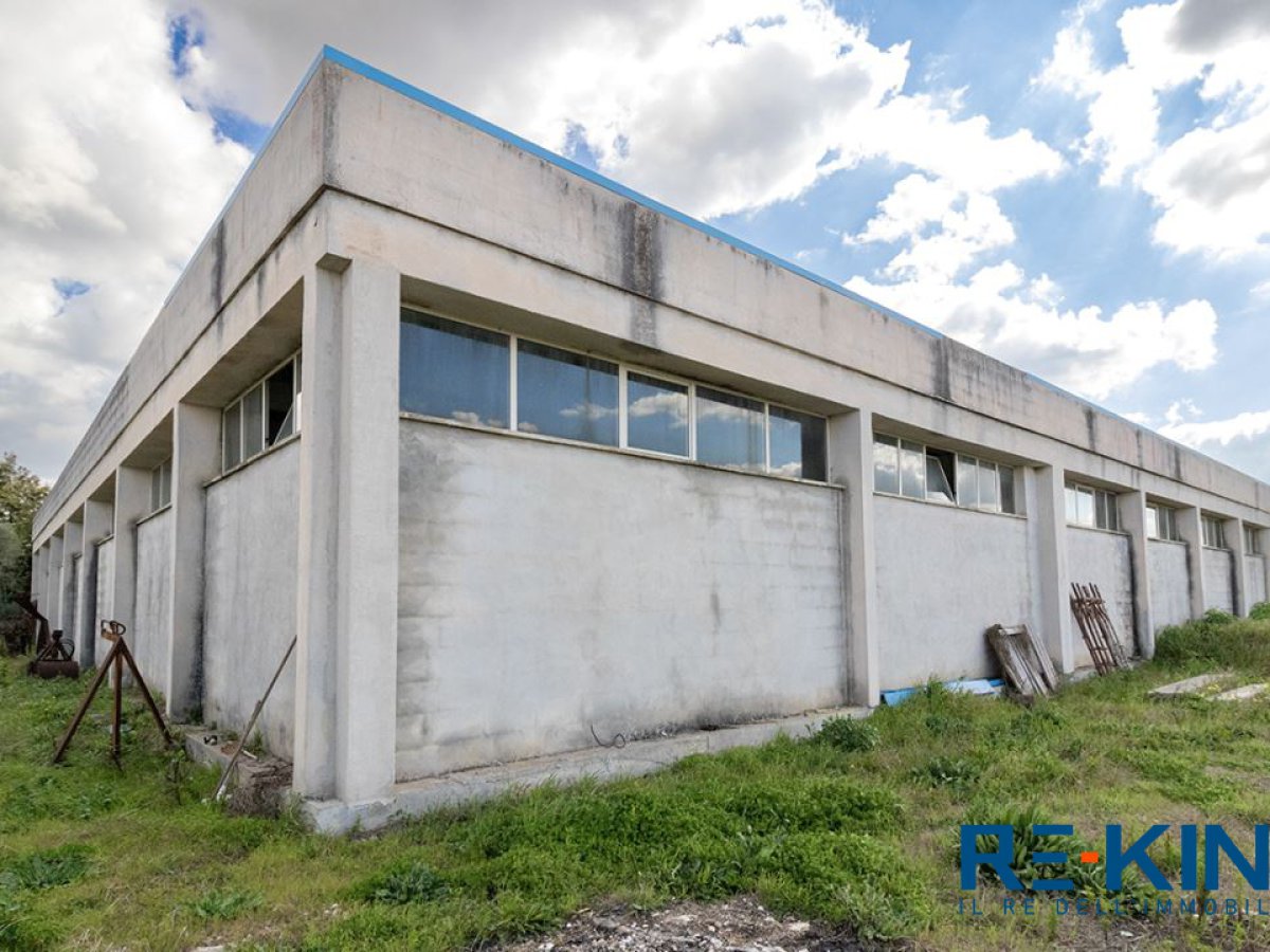 Warehouse for Sale Aradeo Lecce, Sale Warehouse Aradeo