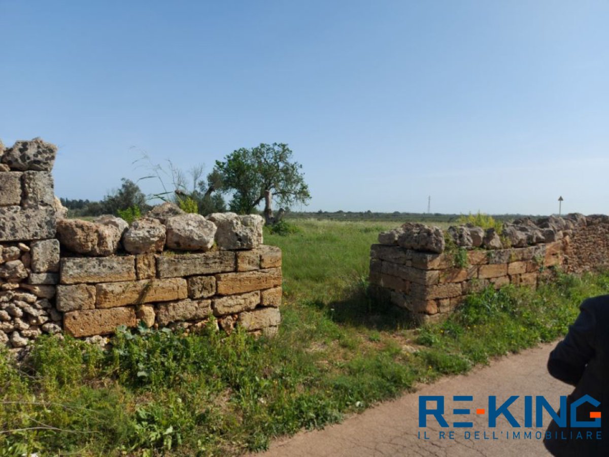 Land for Sale Galatone Lecce, Sale Land Galatone