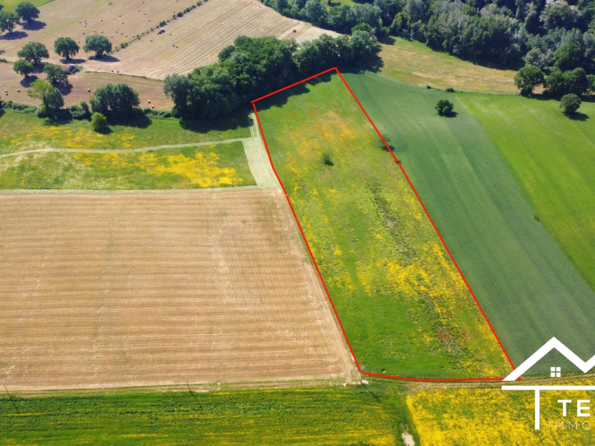 Land for Sale Torri in Sabina Rieti, Sale Land Torri in Sabina