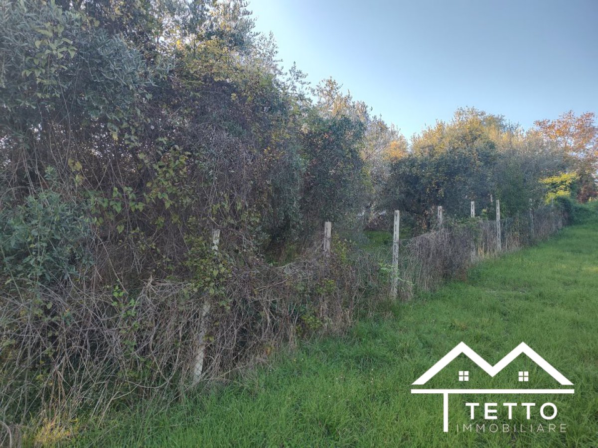 Building area for Sale Torricella in Sabina Rieti, Sale Building area Torricella in Sabina