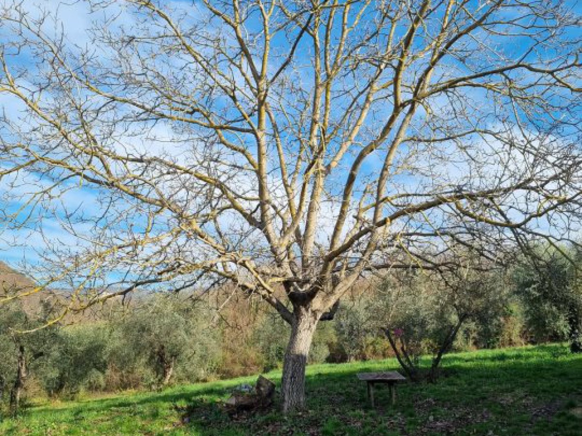 Villa for Sale Scandriglia Rieti, Sale Villa Scandriglia