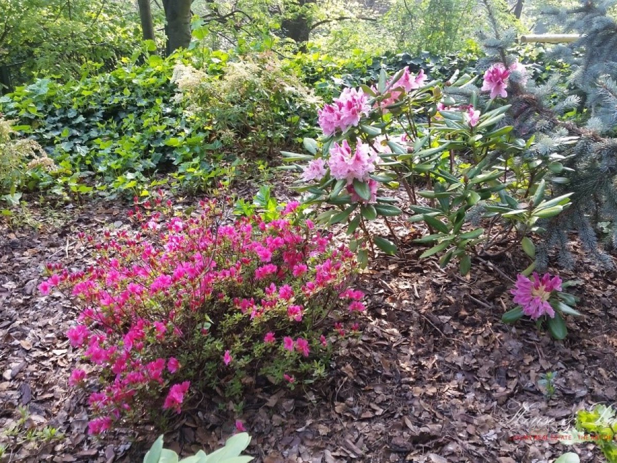 Villa for Rent Torino Turin, Rent Villa Torino