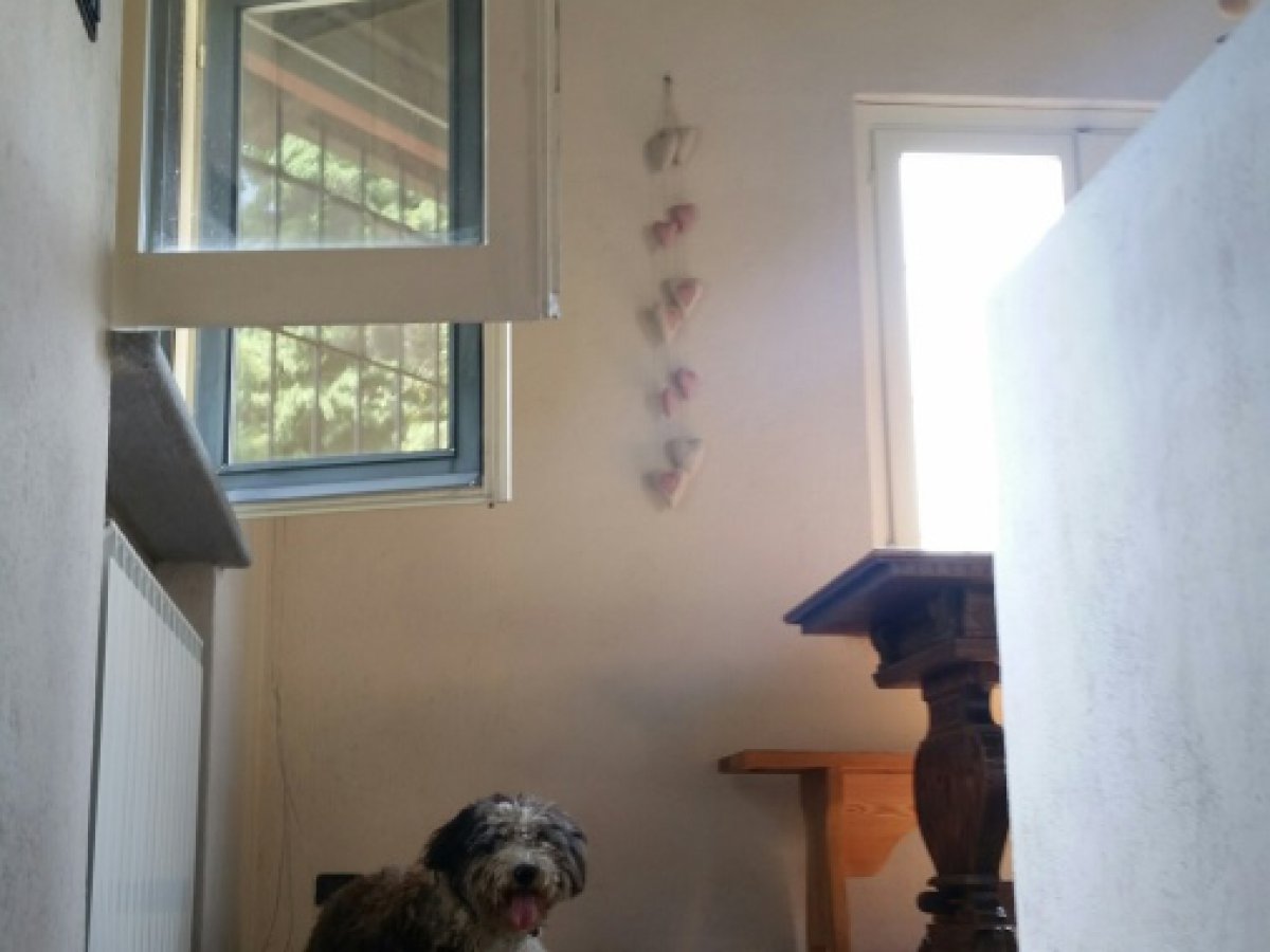 Villa for Rent Torino Turin, Rent Villa Torino