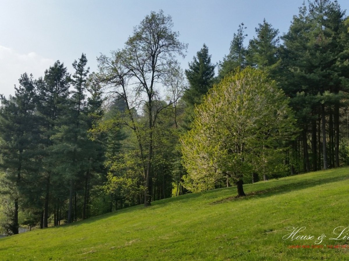 Villa for Rent Torino Turin, Rent Villa Torino