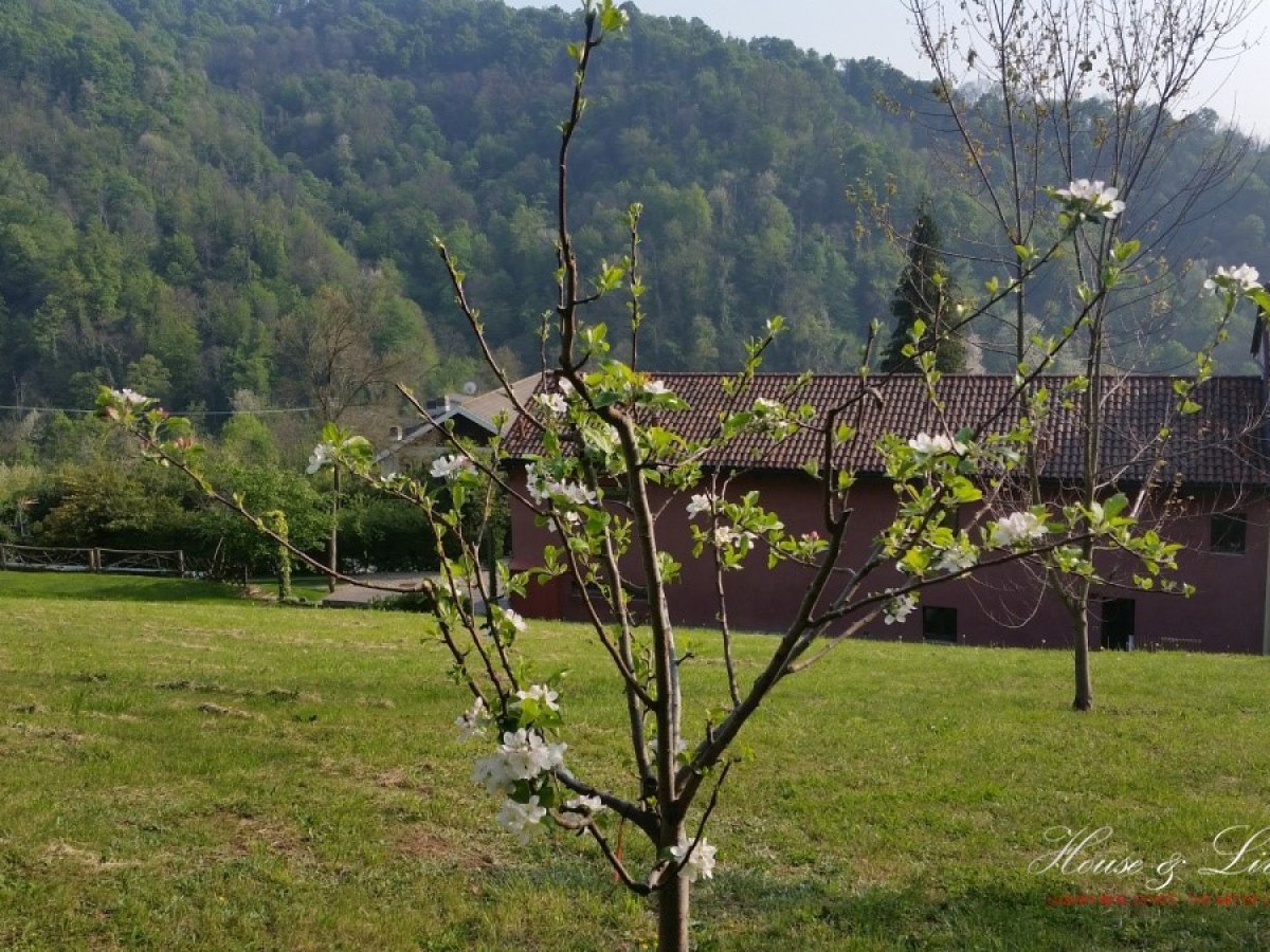 Villa for Rent Torino Turin, Rent Villa Torino